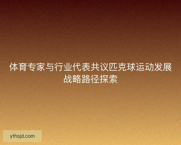 体育专家与行业代表共议匹克球运动发展战略路径探索 体育专家与行业代表共议匹克球运动发展战略路径探索